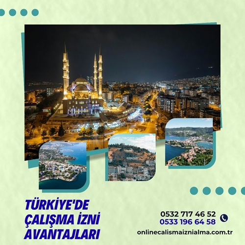 Türkiye'de Çalışma İzni Avantajları